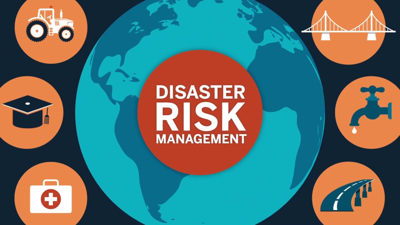 Disaster Risk Planning, Mitigation and Reduction Strategies