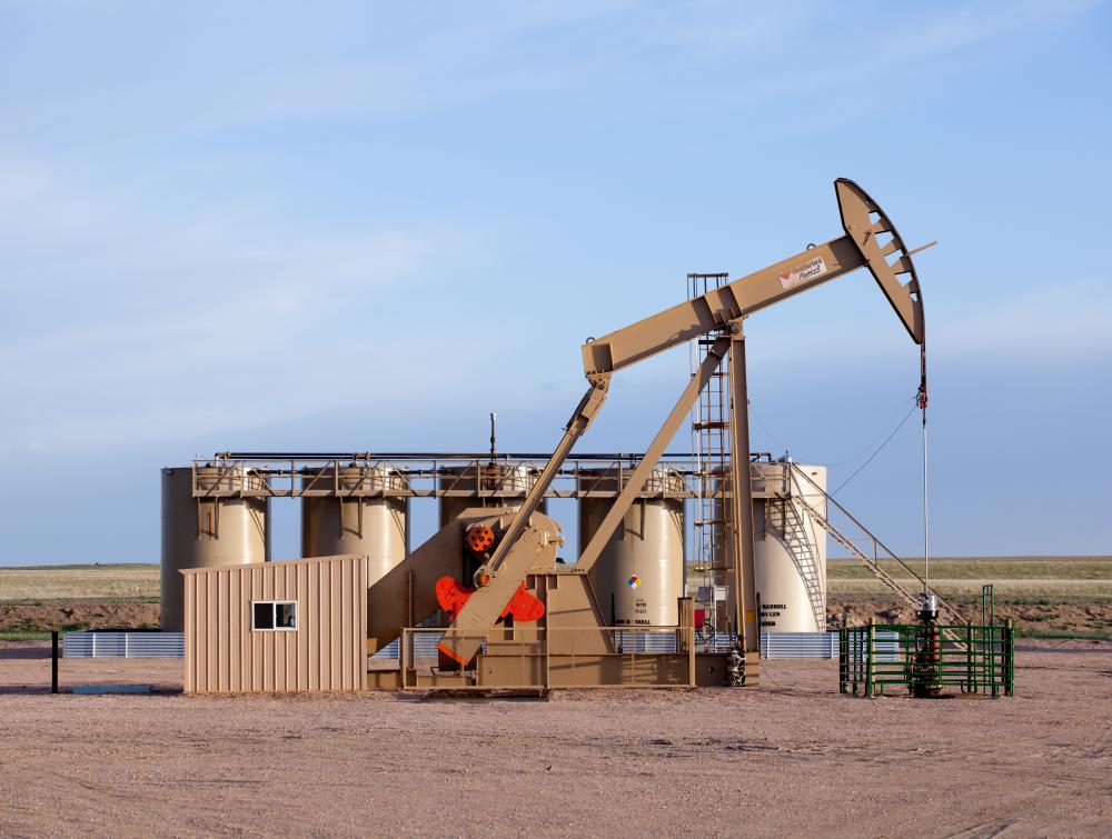 Environmental and Social Safeguards in Oil and Gas