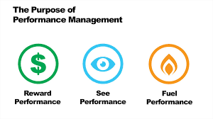 Reinventing Performance Management in the Public Sector